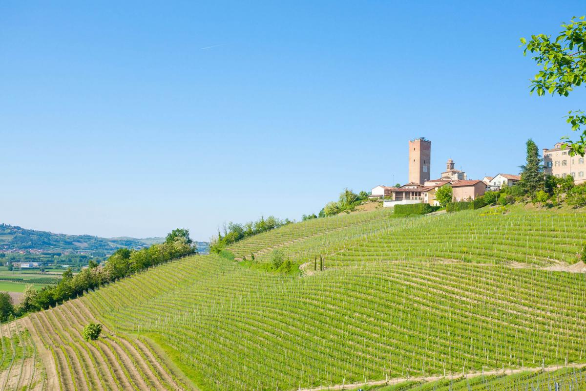 Le Langhe, terra dei grandi vini rossi d'Italia