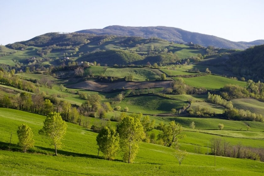 Le verdeggianti alture dei Colli Piacentini