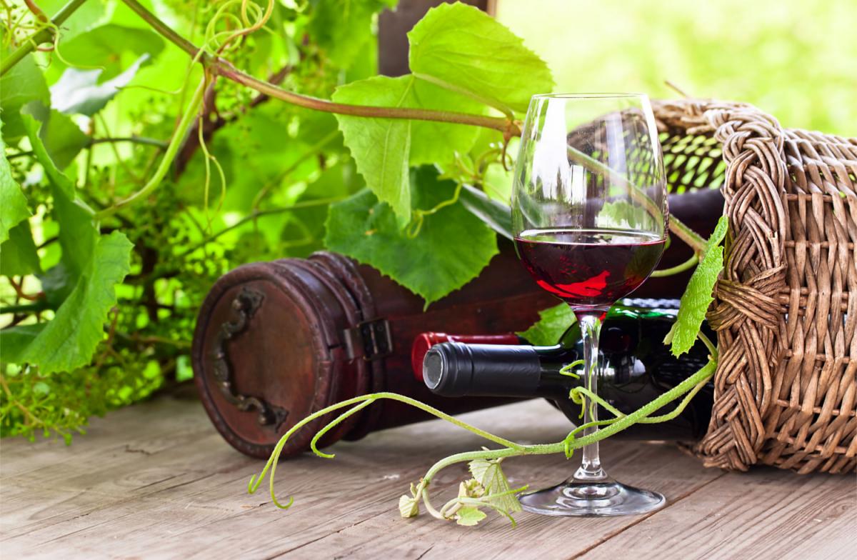 Consorzi vini Sardegna