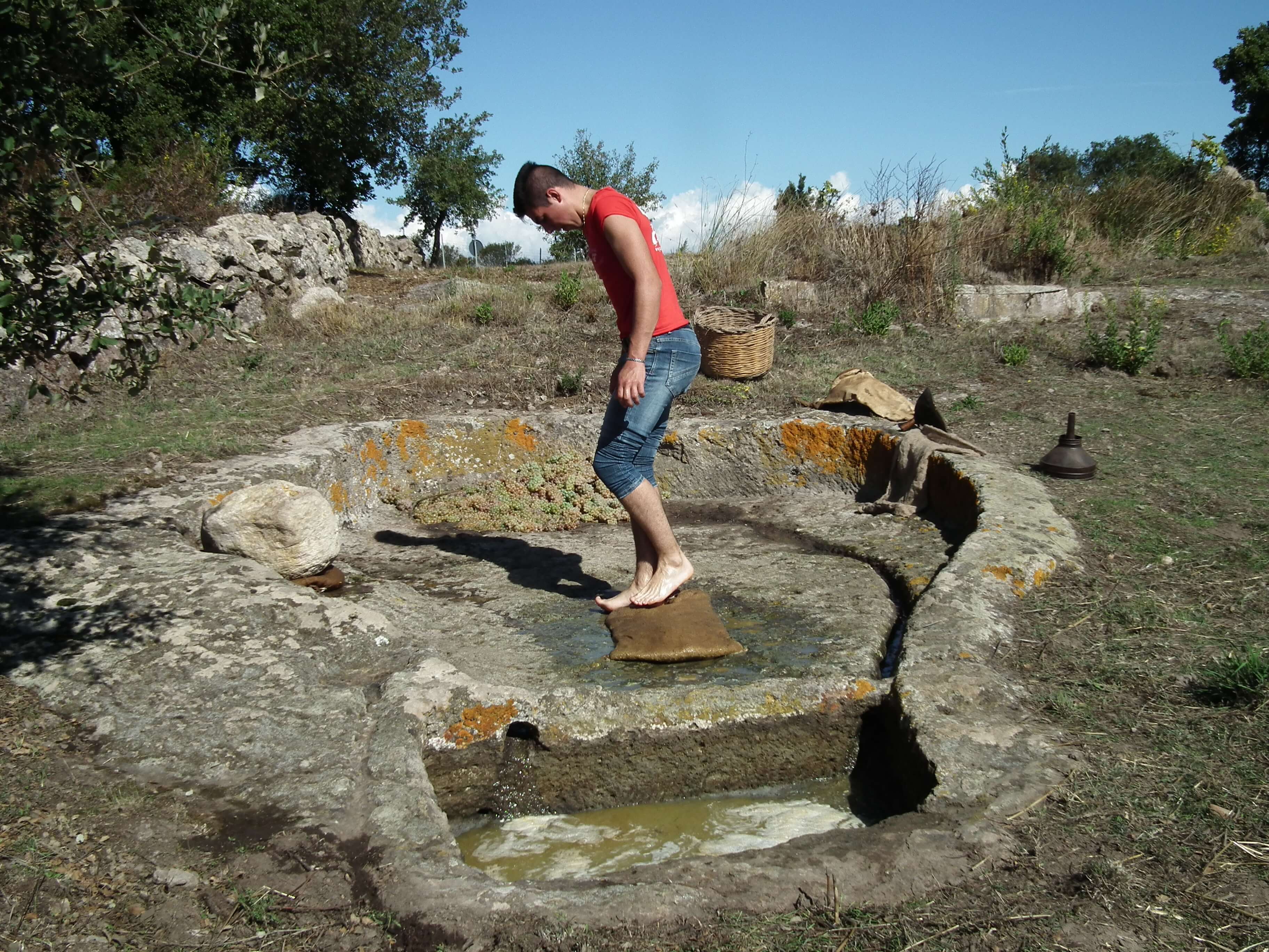 Sos lacos de catzigare: i palmenti rupestri della Sardegna centrale