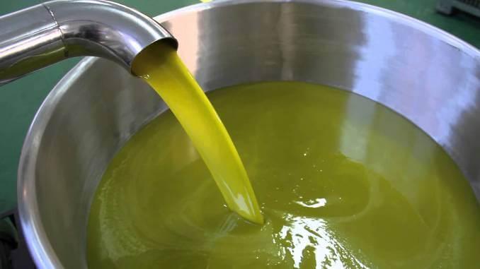 Come si produce l'olio extravergine d'oliva: il prodotto ottenuto dalle fasi di frangitura, gramolatura e pressatura