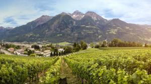 Cantine Aperte 2018 in Valle d&#039;Aosta