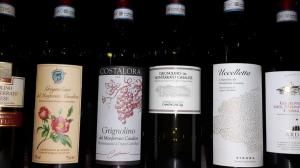 vino Grignolino