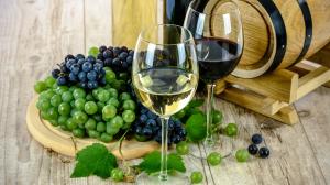 Il vino sostenibile