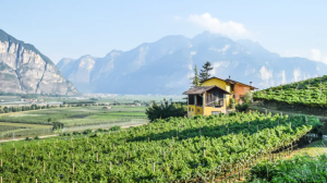 Trentodoc sulle Dolomiti: al via l’edizione estiva a Madonna di Campiglio e Val di Fassa
