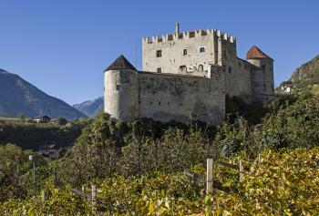 Il vino in Trentino Alto Adige