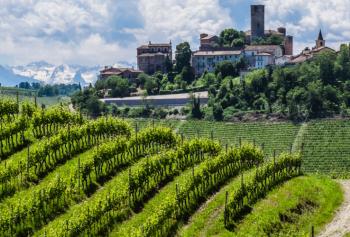 Nebbiolo vino del Piemonte