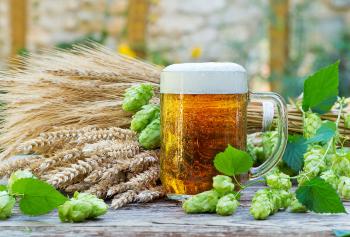 Produzione sostenibile della birra in Italia