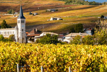 La Borgogna e i grandi vini di Francia