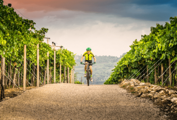 Franciacorta in bicicletta: il percorso giallo