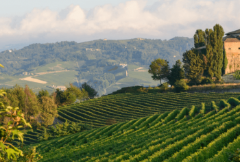 Le Langhe, terra dei grandi vini rossi d&#039;Italia