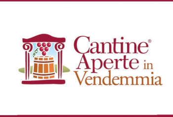 Cantine aperte in Vendemmia 2022 in Veneto