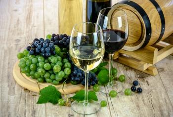 Il vino sostenibile