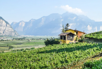 Trentodoc sulle Dolomiti: al via l’edizione estiva a Madonna di Campiglio e Val di Fassa