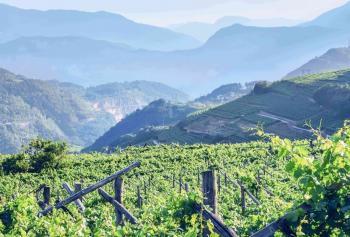 Trentino &quot;Wine Region of the Year 2020&quot; secondo Wine Enthusiast