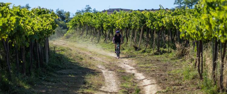 StraTerroir: 4 serate per raccontare il vino d'Abruzzo