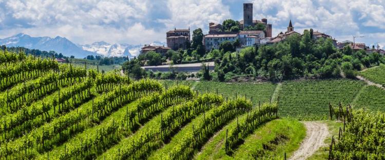 Nebbiolo, il vino che ha segnato la storia del Piemonte