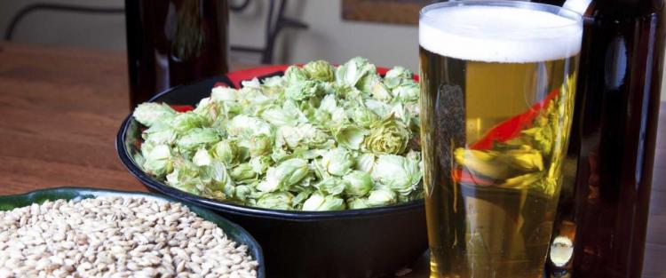 Cosa è la birra cruda?