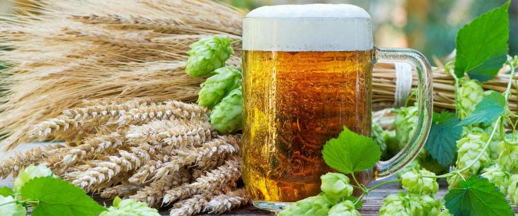 Sostenibilità ambientale: dagli scarti della birra si ottengono materiali preziosi