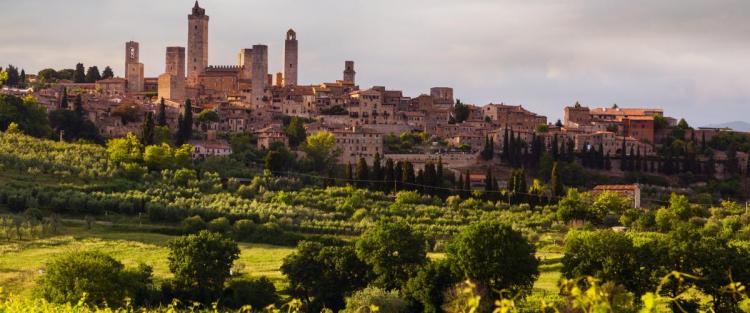 La Vernaccia di San Gimignano ha compiuto mezzo secolo