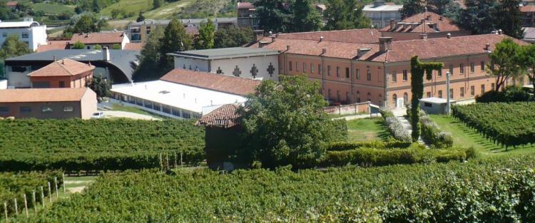 Nella magia delle Langhe la Scuola Enologica di Alba