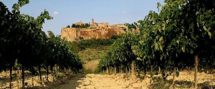 Fino al 31 maggio focus sui vini dell'Umbria