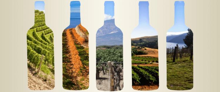 Riccardo Cotarella spiega cosa è il terroir