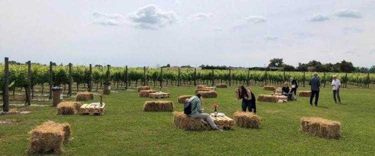 Dall'1 maggio "Vigneti Aperti" in Friuli Venezia Giulia