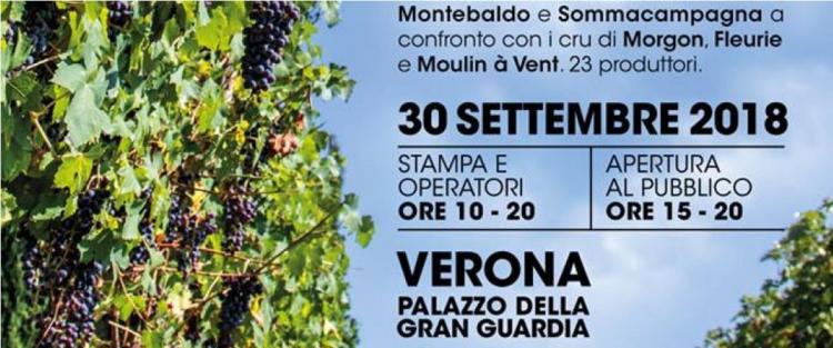 30 settembre 2018 "Bardolino Cru" a Verona