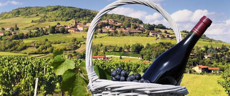 È tempo di Beaujolais Nouveau!