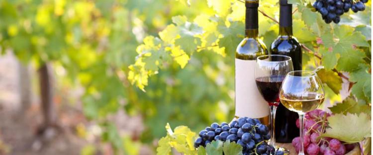 Cantine Aperte 2019 in Campania
