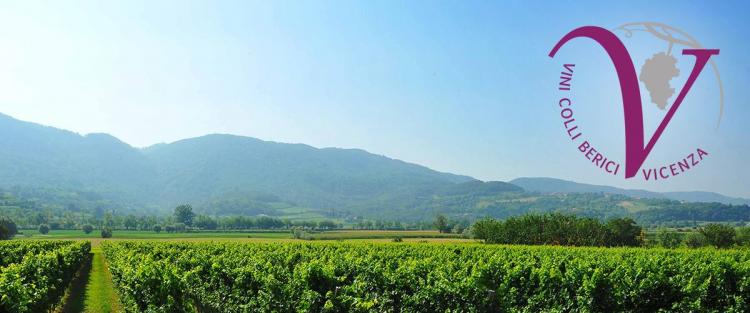 Il 23 e 24 ottobre torna "Gustus", Vini e Sapori di Vicenza