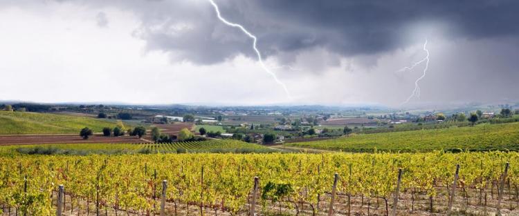 Come è stato il clima per l'annata 2016
