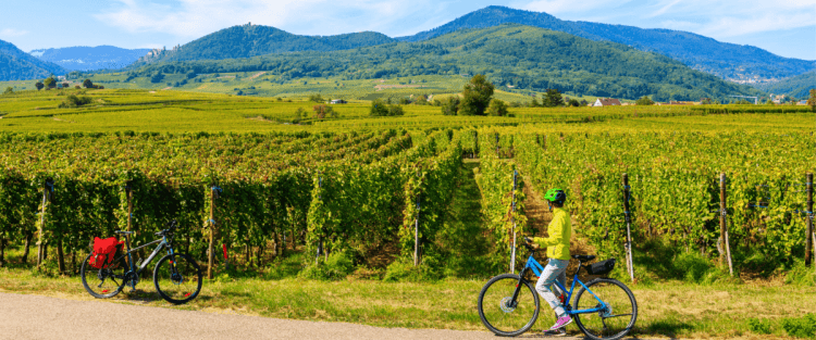 Franciacorta in bicicletta: il percorso blu