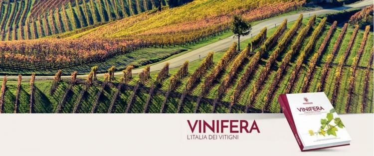 Assoenologi a Vinitaly con il libro e il vino dei vitigni d'Italia