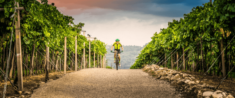 Franciacorta in bicicletta: il percorso giallo