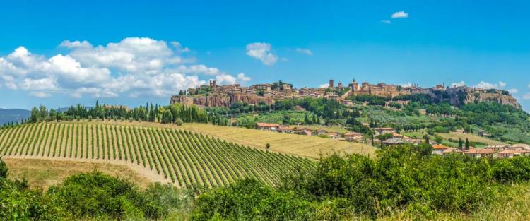 Il Grechetto nella viticoltura dell'Umbria