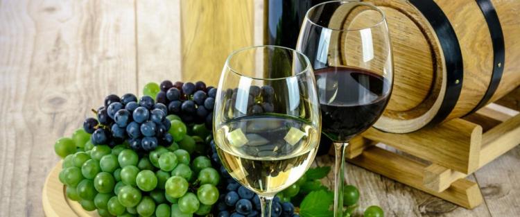 Il vino sostenibile