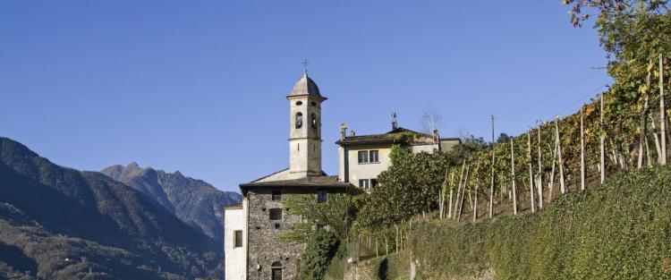  Il vino in Lombardia: qualità e accoglienza