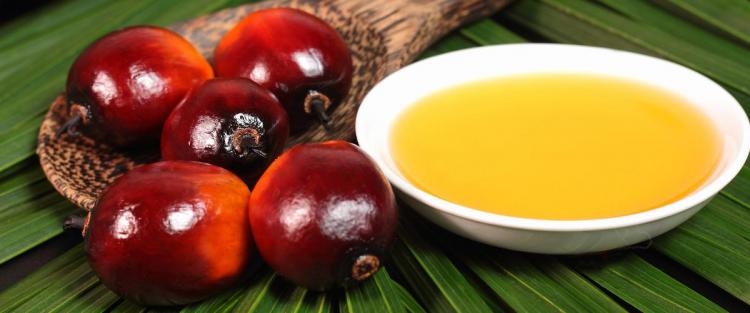 L'olio di palma fa male?