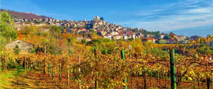 Sannio - Falanghina: Capitale Europea del vino 2019