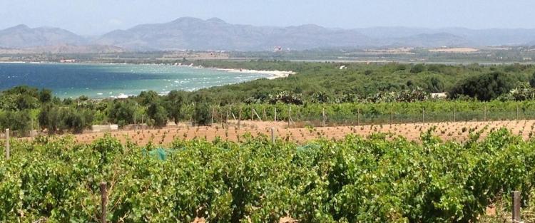 Viaggio in Sardegna, tra vino e Nuraghi