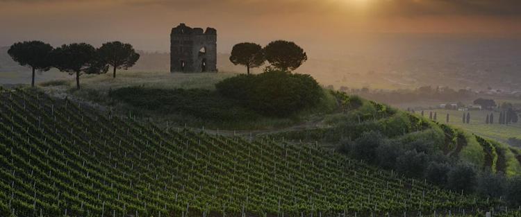 Il vino nel Lazio: la viticoltura tra mare e vulcani