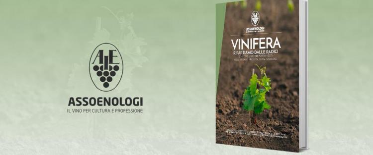 "Vinifera - Ripartiamo dalle radici": il nuovo libro sui portinnesti della vite