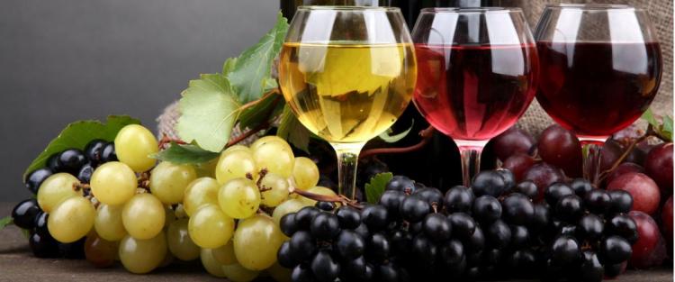 Vino fa buon sangue?