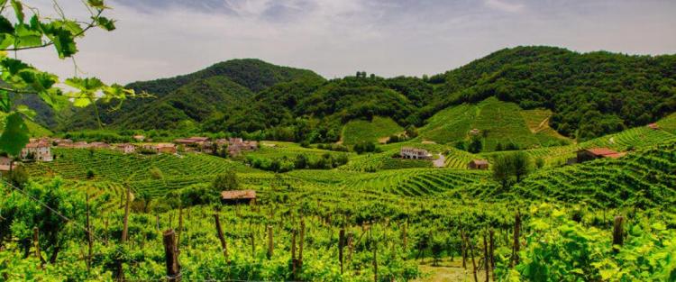 “Weekend in cantina” sulla strada del Prosecco