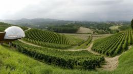 Il vino in Abruzzo, custode di preziosi vitigni autoctoni