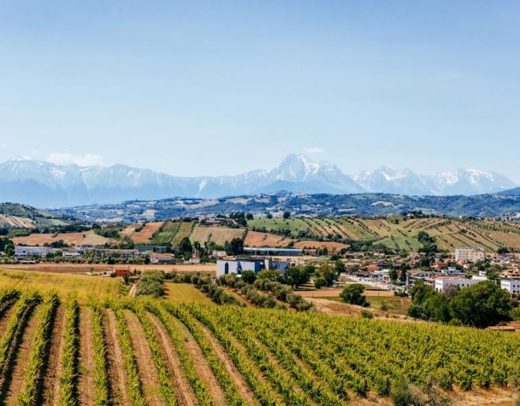 Tenuta Antonini