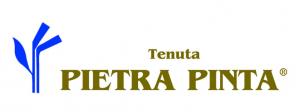 Logo Pietra Pinta