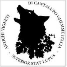 Logo Antichi Vigneti di Cantalupo